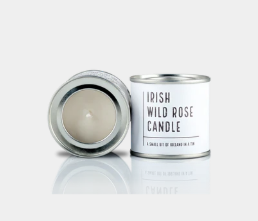 Irish Wild Rose