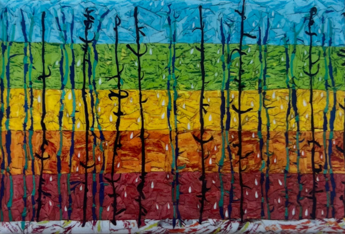 Rainbow Forest
