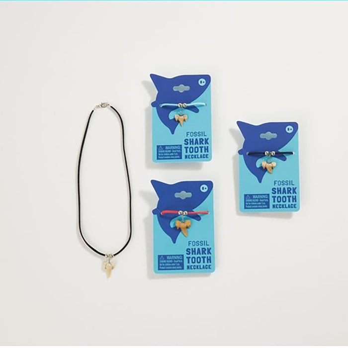 Shark Tooth Necklace