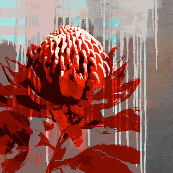 Jan Neil, Waratah Grafitti