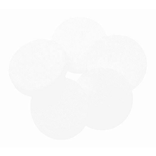 25mm White Replacement Pads (Pack of 10) at Your Oil Tools