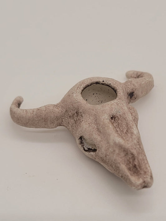 All White Bull Head Skull