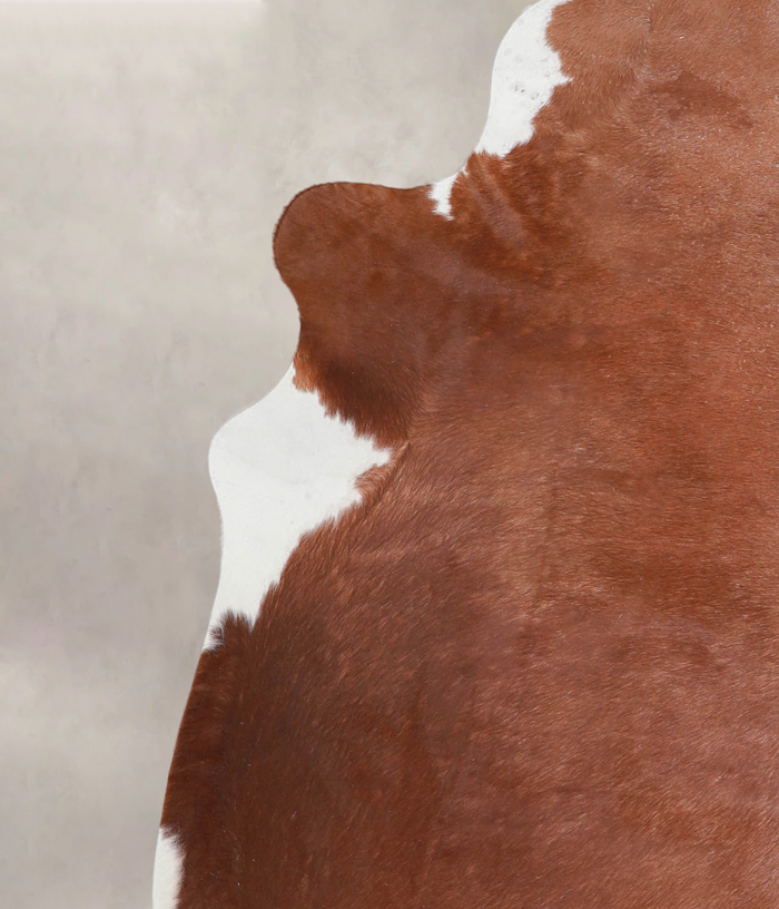 Brown and White Regular Cowhide Rug #A25048