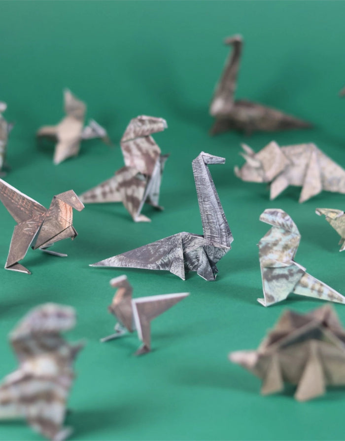 Fold your Own Paper Dinos, Pikkii