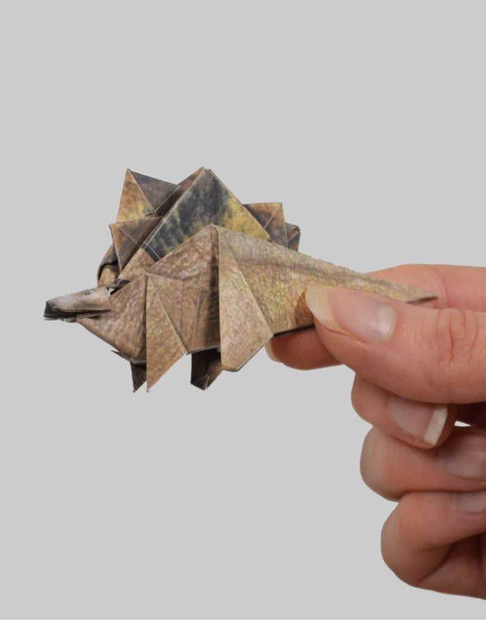 Fold your Own Paper Dinos, Pikkii