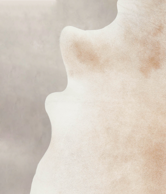 Caramel Cowhide Rug #A25033