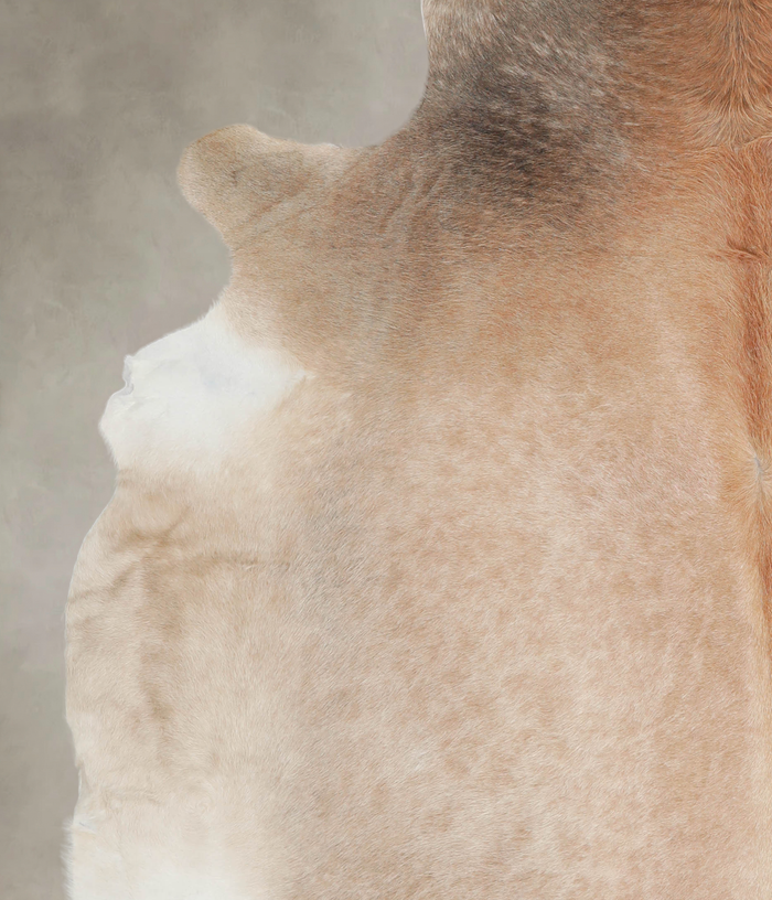 Caramel Cowhide Rug #A24591
