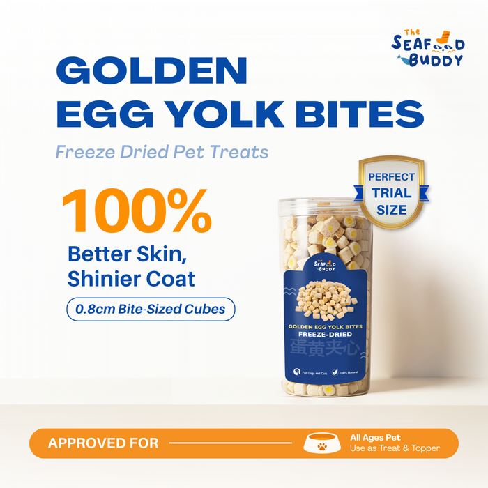 SeafoodBuddy Freeze-Dried Golden Egg Yolk Bites 70g | Balanced Diet Treats
