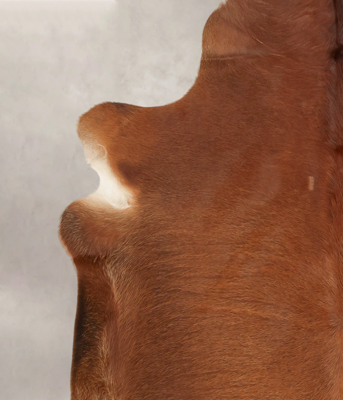 Solid Brown Cowhide Rug #B1792