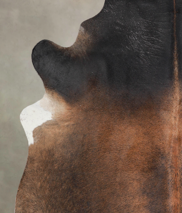 Brown with Red Cowhide Rug #A24831